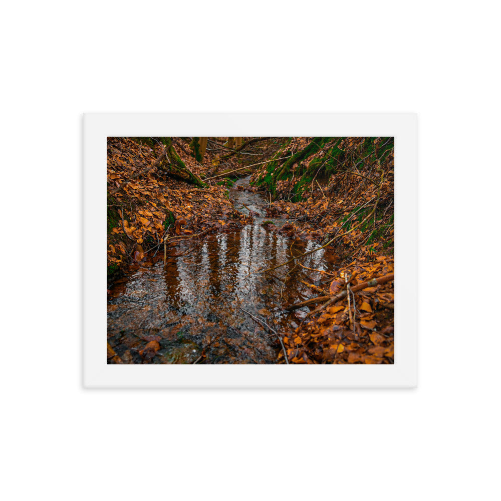 Herbstlicher Bachlauf - Gerahmtes Poster - Das Lädchen von Fotograf Oberberg